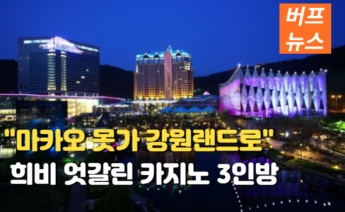 e7ea54d1c04c57c61a17e3c76b12a63a.png 마카오 못가니 강원랜드로