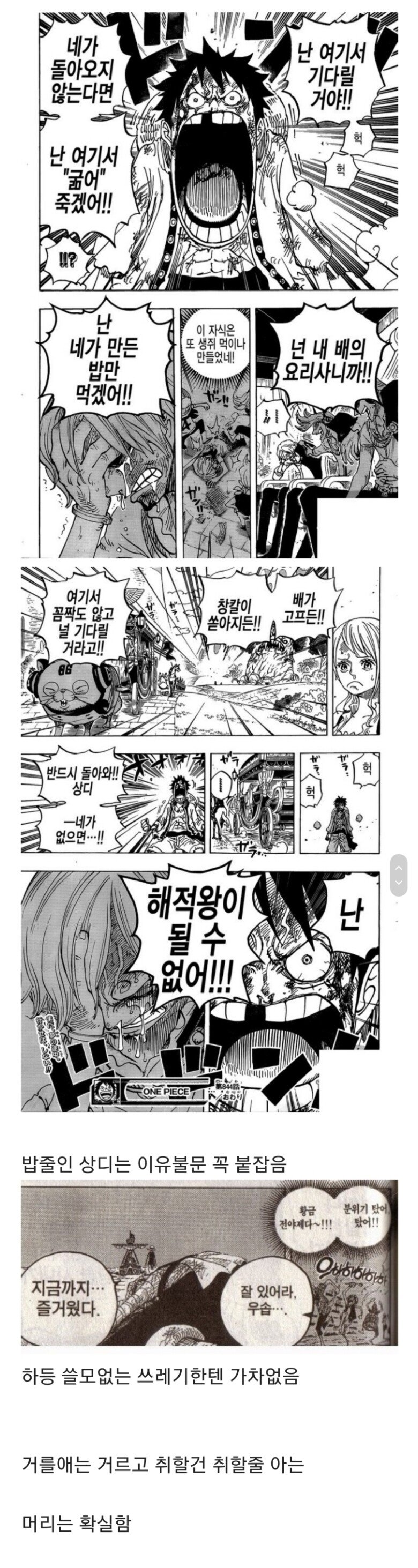 생각보다 똑똑한 루피