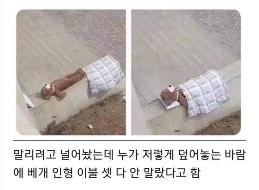 오지랖이 부른 참사