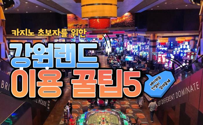 c6229bb9d055ea784a3853d8a727137c.png 강원랜드 처음 이용시 꿀팁5