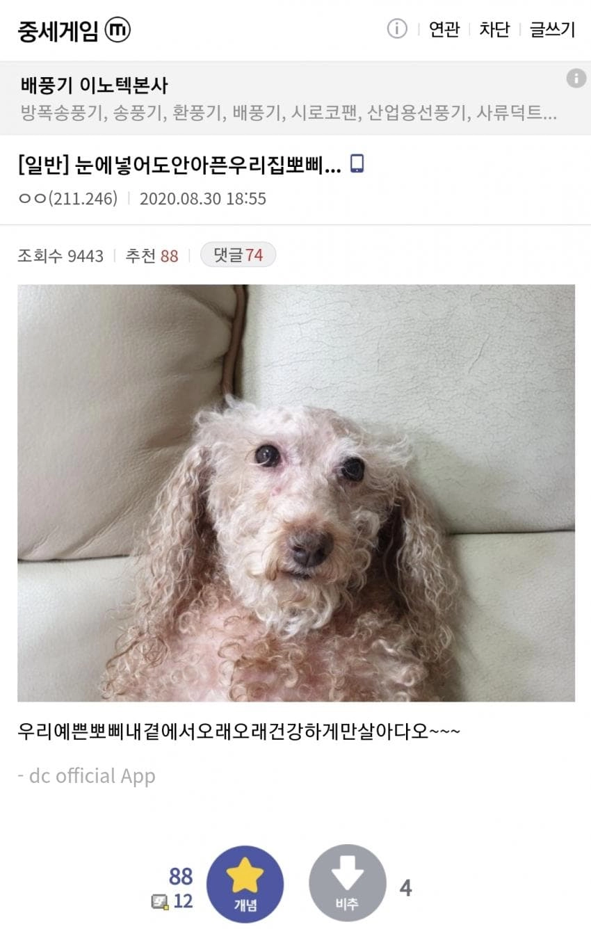 3d53750e86b9990880a92af0c7cd9517.webp 한번 삶았냐??? ㅋㅋㅋㅋㅋ