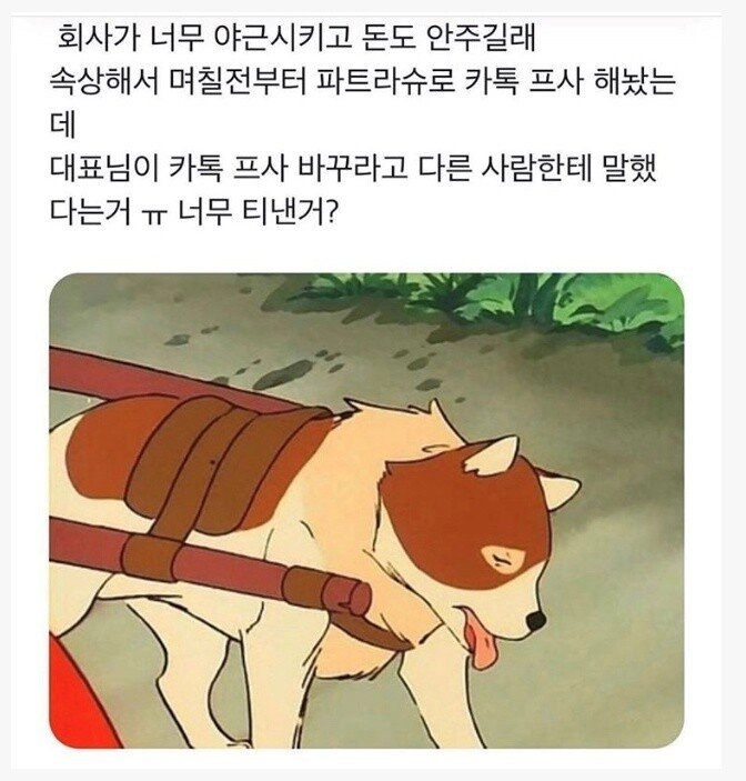 29a3e3e480170eb6138fc08f1a34a56e.webp '회사에서 내 프사 바꾸래...'.jpg