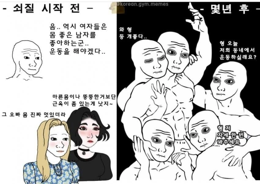 e1fafb6bb95f7a95114d1e86ab0e679f.webp 헬스 3년정도 하면 깨닫는것 . JPG