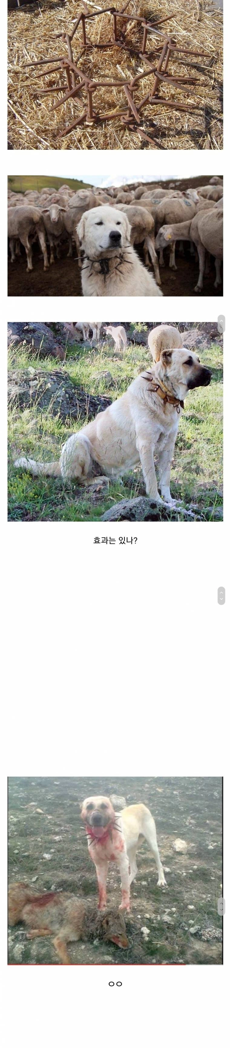 2d2e4f66a15a35e993d3f1a22cde85e1.webp 물리반사템