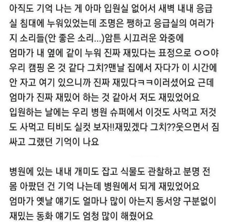 7280ae79d5982aedf093429486e8c2d5.webp 어릴 때 엄마가 보여준 최고의 사랑