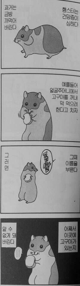 557d6777e303c19e0a491749842c66cf.webp 햄스터의 건망증.jpg