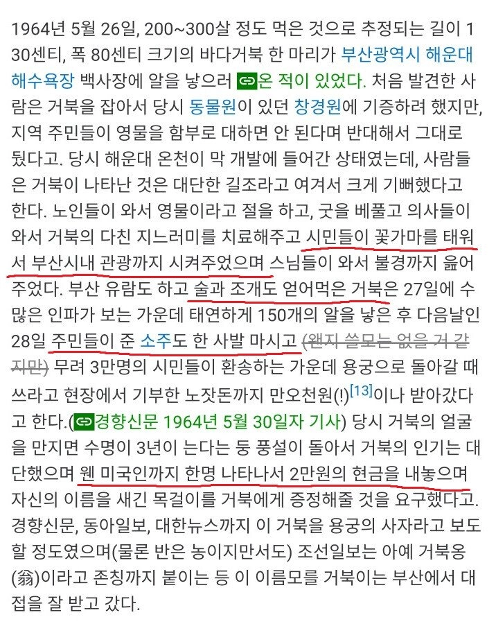 5a8c8d5421ce4ad49e47a630d6178cd7.webp 전설의 부산 풀코스.jpg