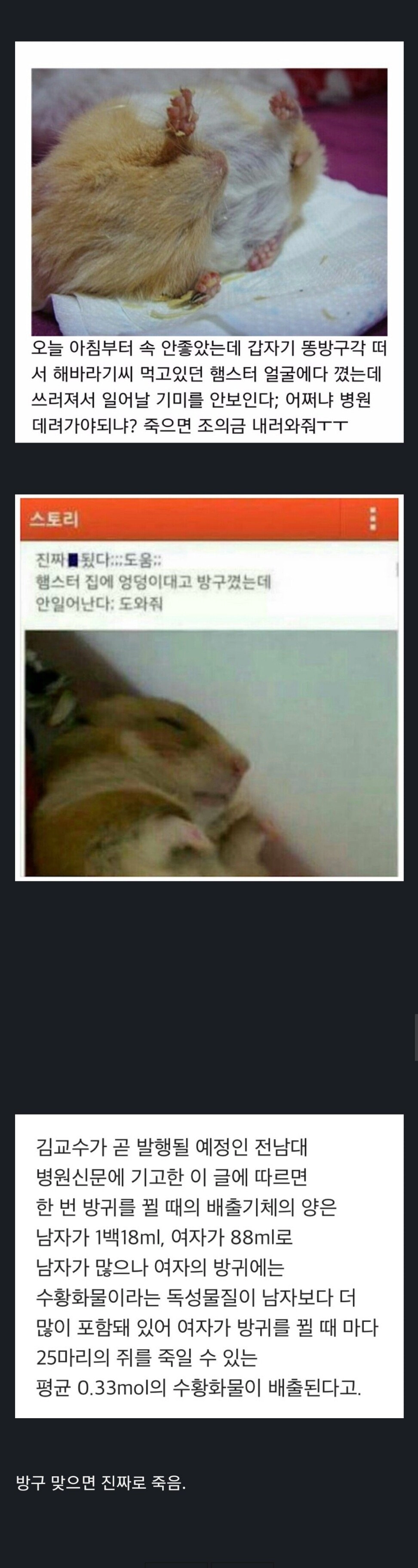 979942109371a37b309b4dde7f77ce1e.webp 햄스터에게 방귀를 뀌면 안 되는 이유