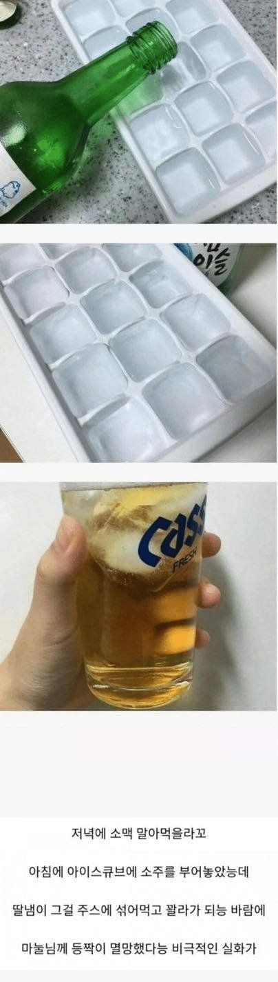 c7f2388be34025460f998e5d9cdaa35e.webp 얼음 얼리다 마누라한테 맞은 유부남...JPG