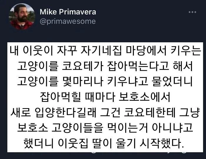 30dee27b49332c0d2588d3fb8a212892.webp 고양이 잡아먹는 코요테