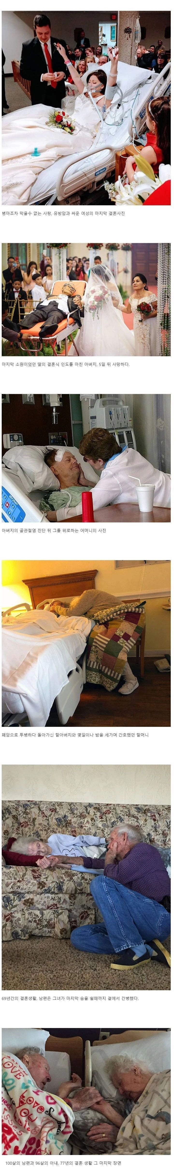 e77a09dfdb5a13befc7885b05f78f9f5.webp 마지막까지 사랑했어요
