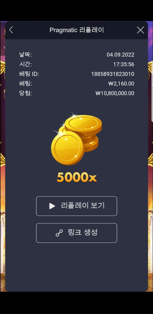 미미먹튀