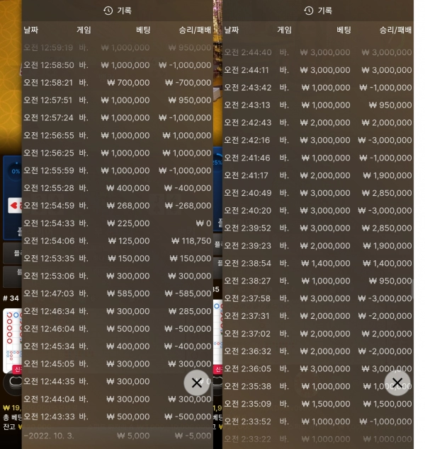이프벳먹튀