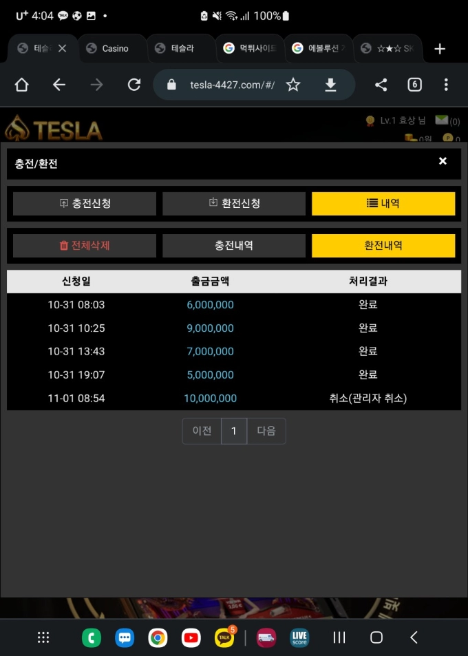 테슬라먹튀