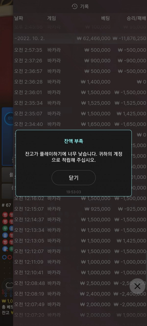 라쿤먹튀