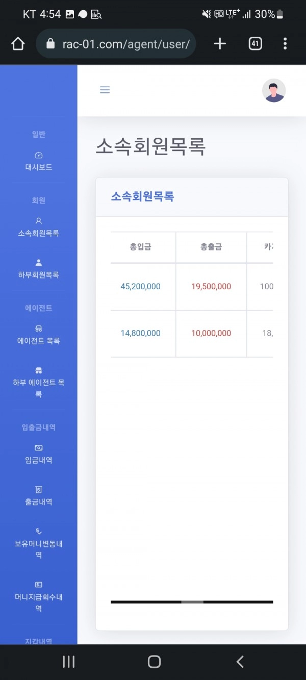라쿤먹튀