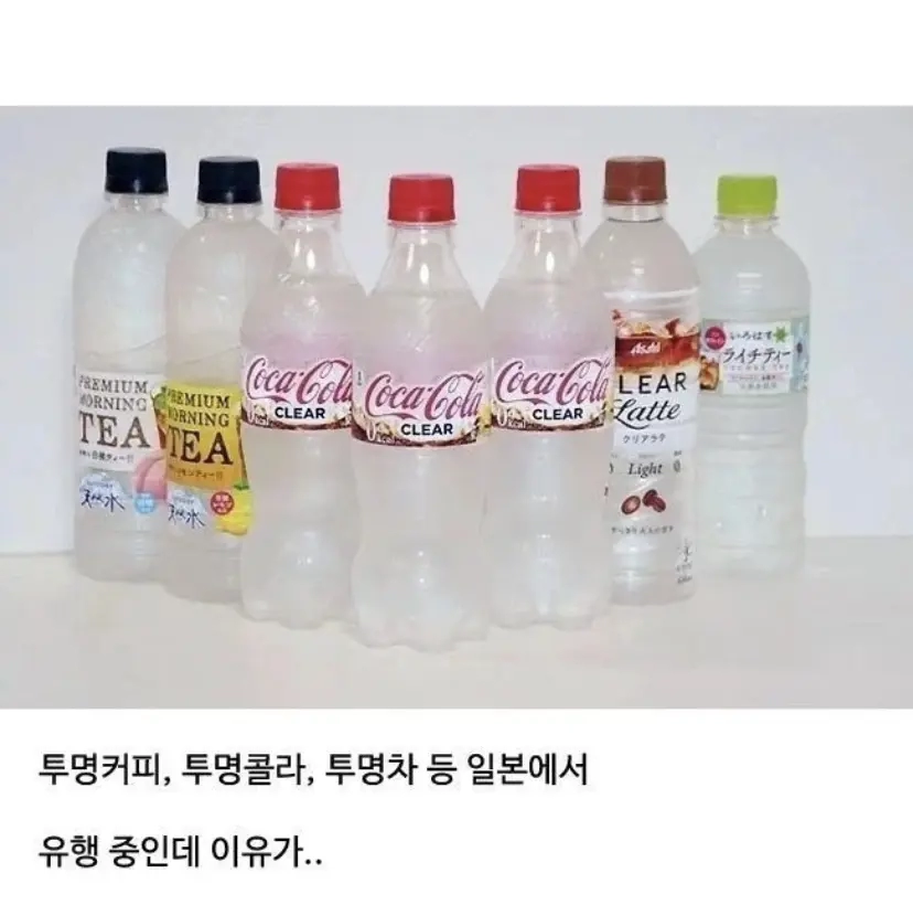 일본에서 유행했던 음료