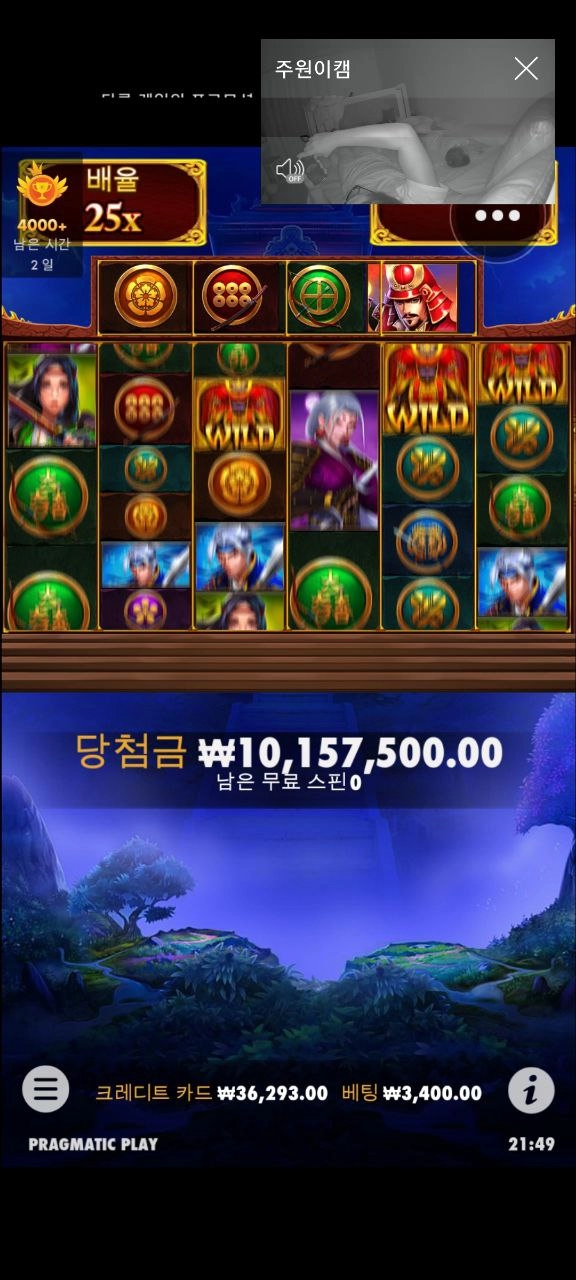 라이브벳먹튀