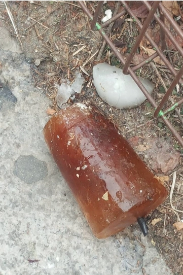얼죽아 근황