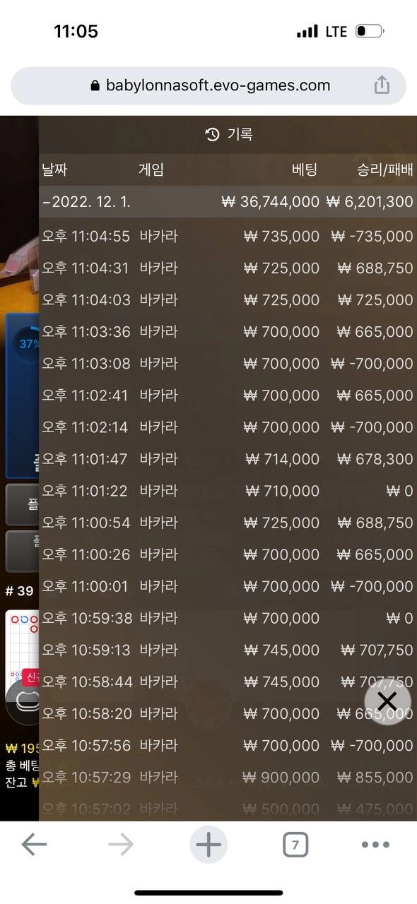 도지먹튀