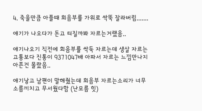 학교에서는 안 알려주는 출산 후 분비물