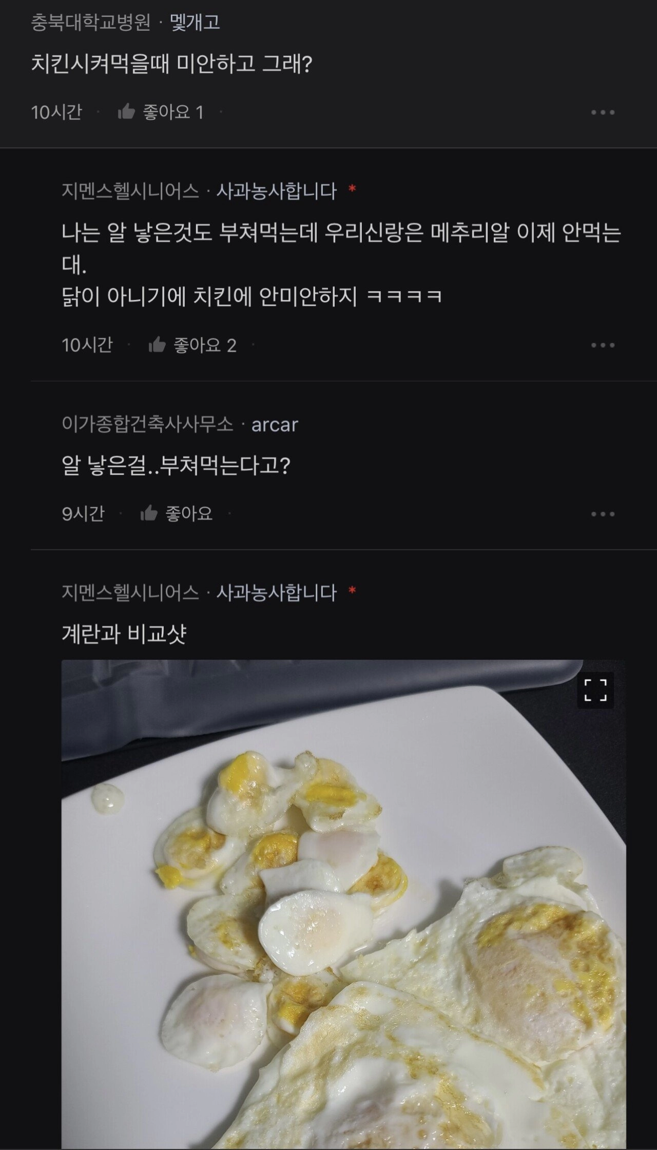 애완 메추리 키우는 여자
