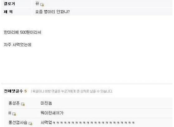 병아리...
