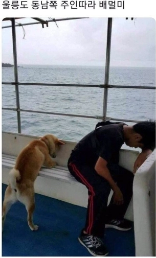 제목이 살린짤