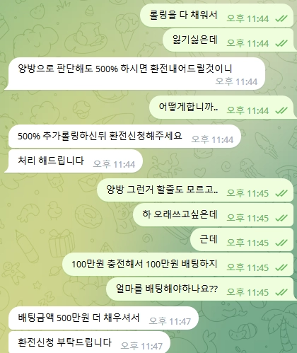 비앤디카지노