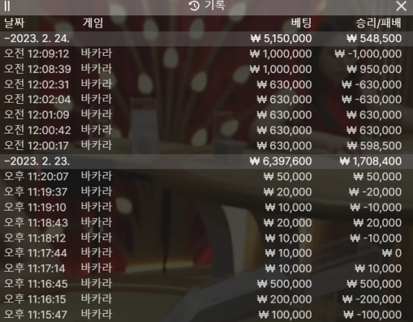 비앤디카지노