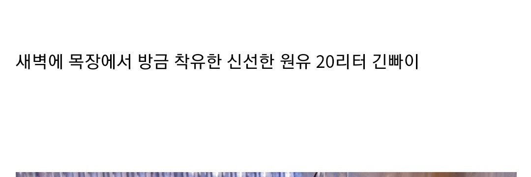 집에서 카이막 만들기