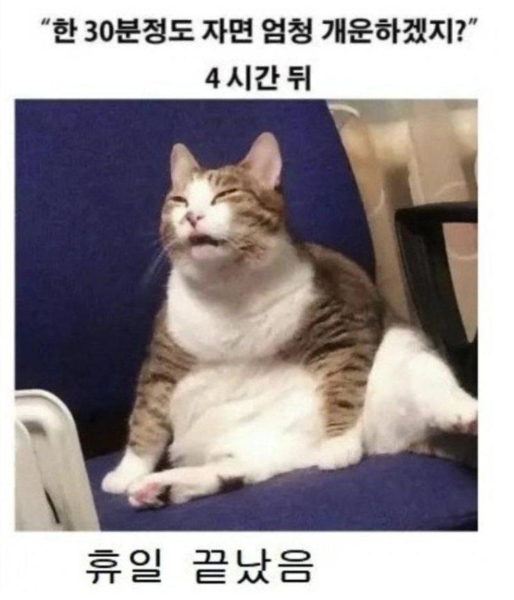 휴일 낮잠이 위험한 이유