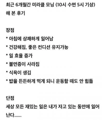 6개월간 10시 수면 5시 기상한 사람 후기