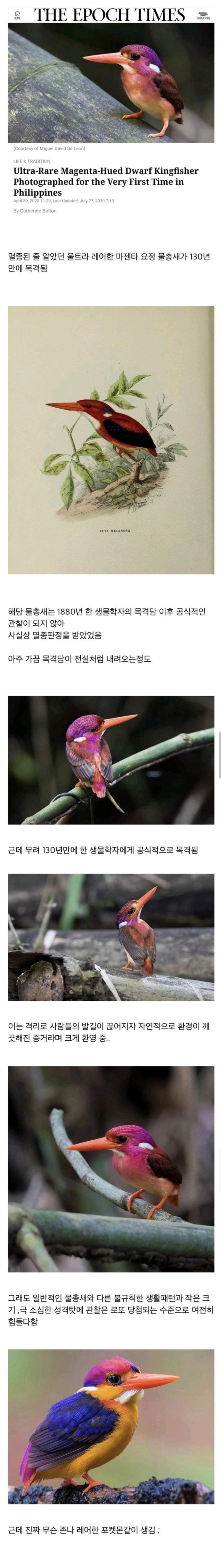 130년만에 다시나타난 멸종된 새
