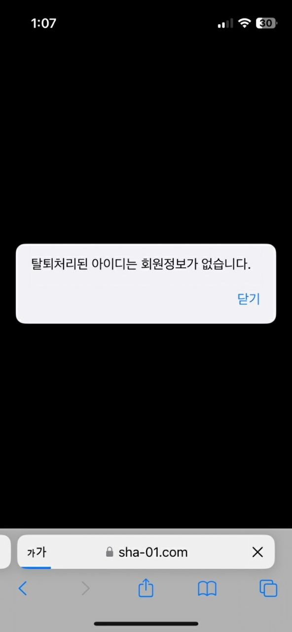 샬롬먹튀