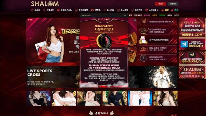 샬롬먹튀