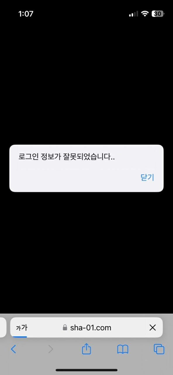 샬롬먹튀