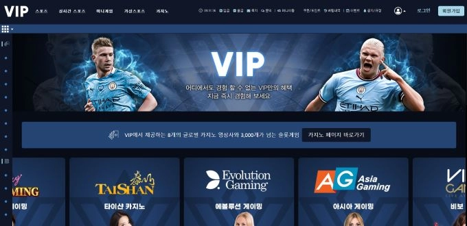 브이아이피먹튀