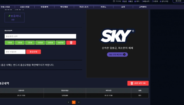 스카이먹튀