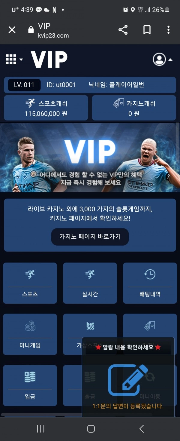 브이아이피먹튀