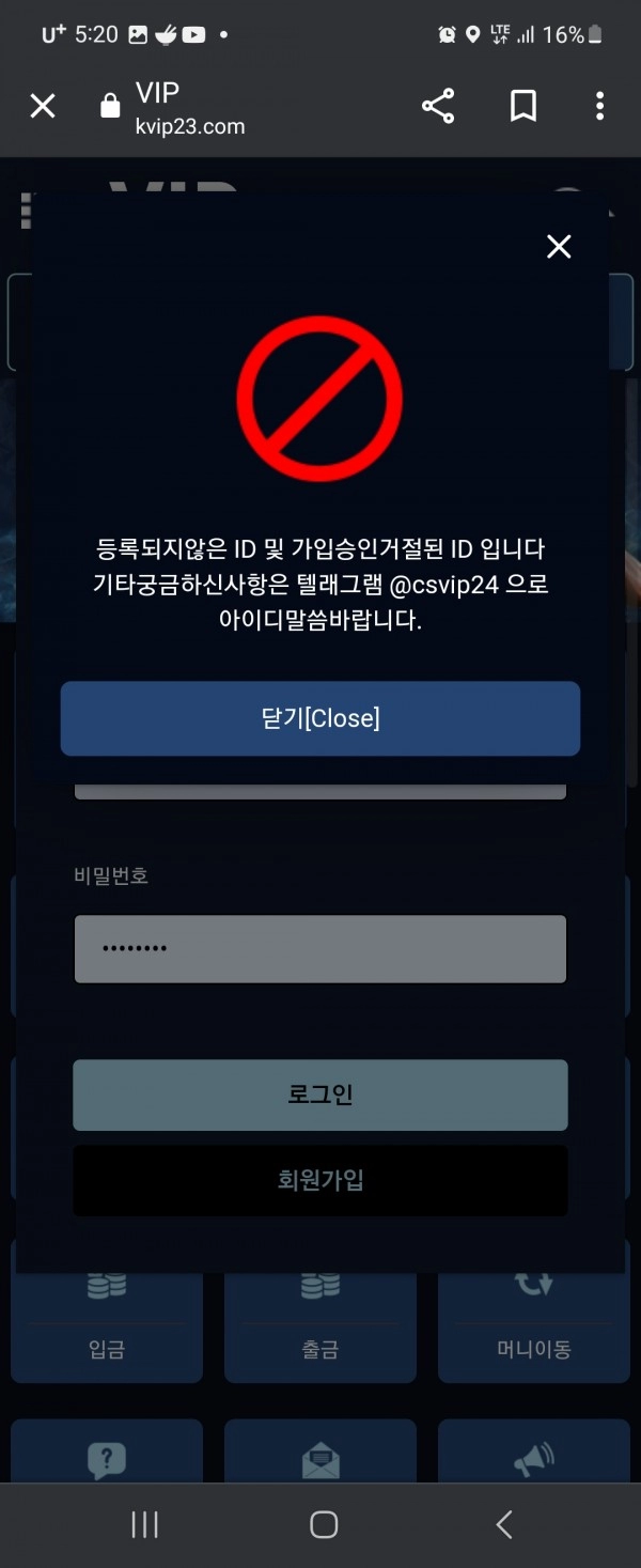 브이아이피먹튀
