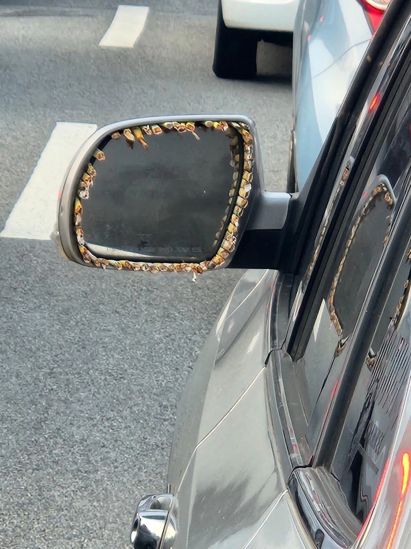 신박한 재떨이