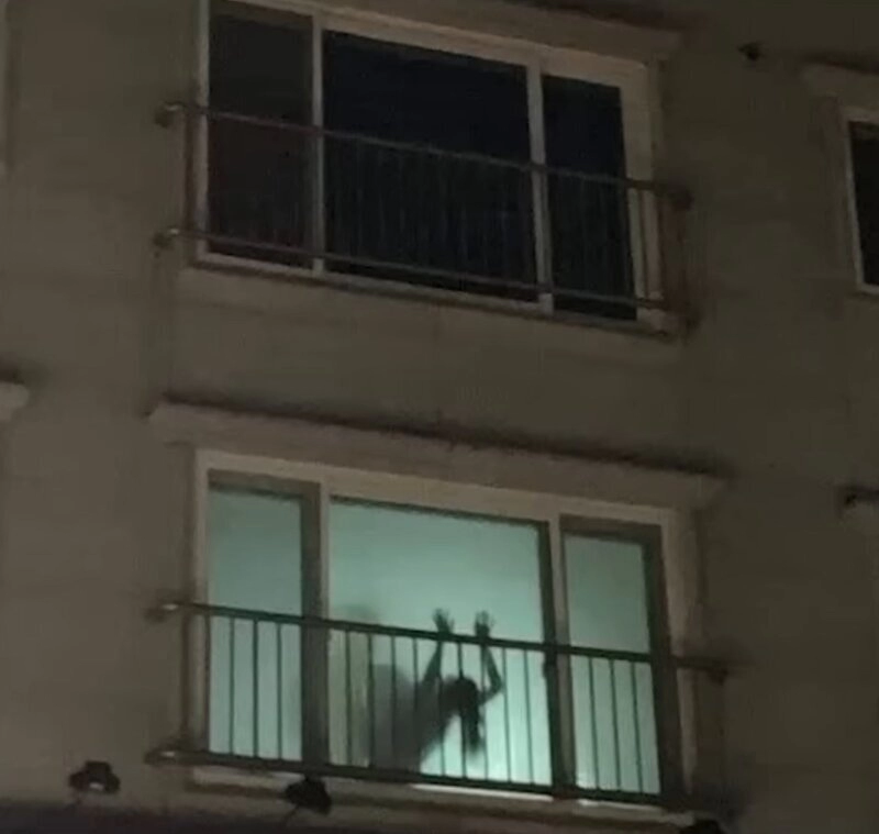 뒷치귀신 ㅎㅎ