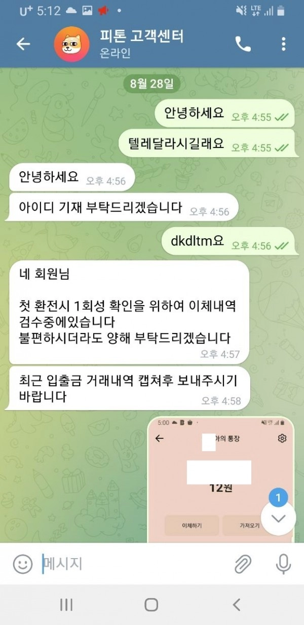 피톤먹튀