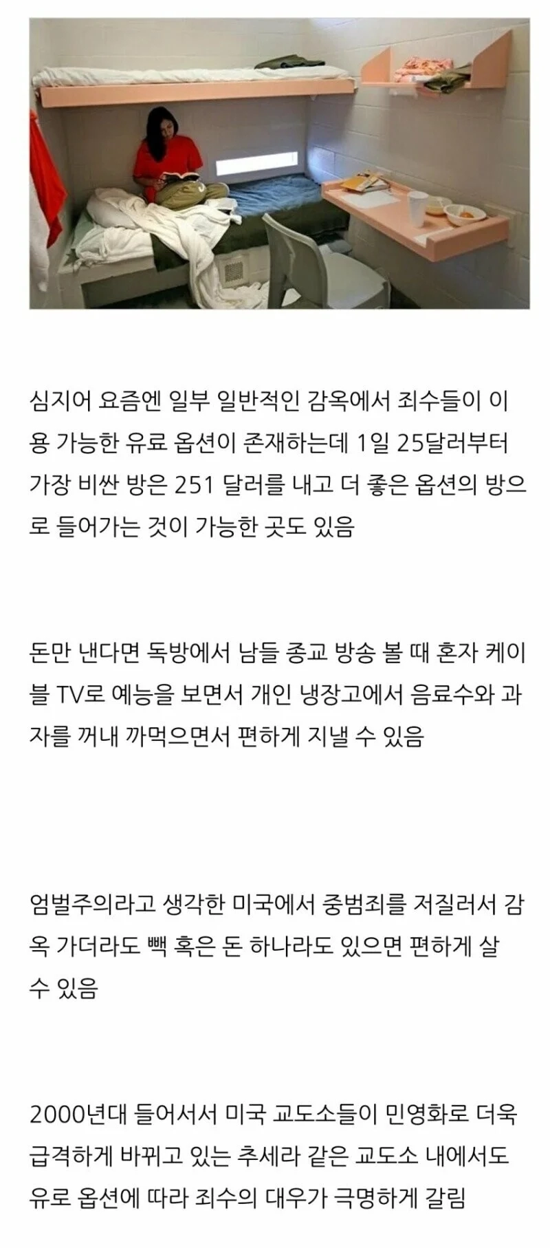 미국 감옥의 현실