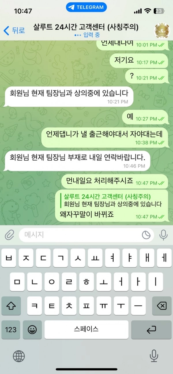 살루트 먹튀