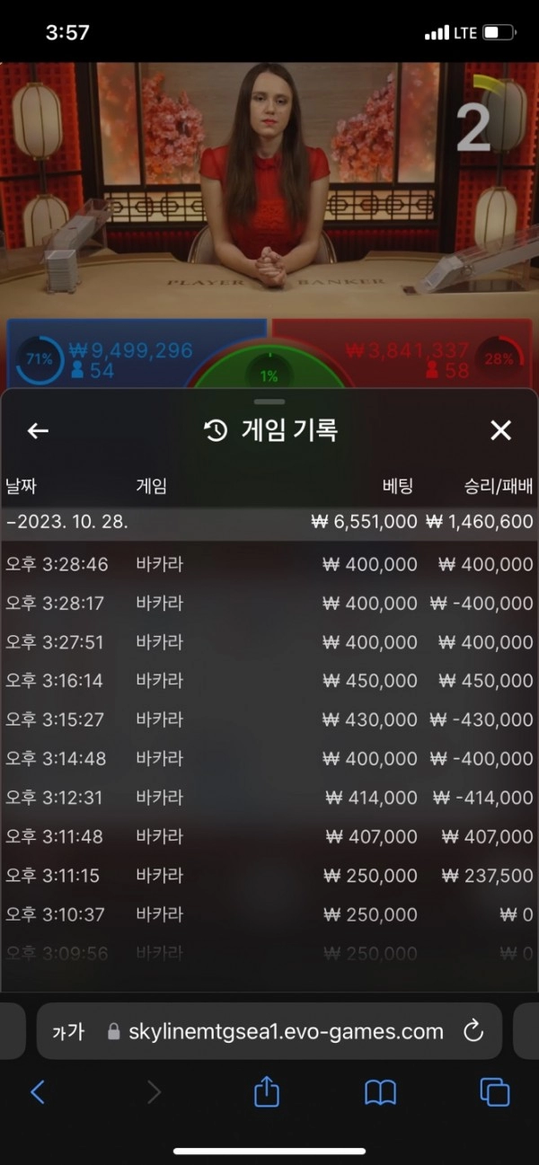 돌핀 먹튀