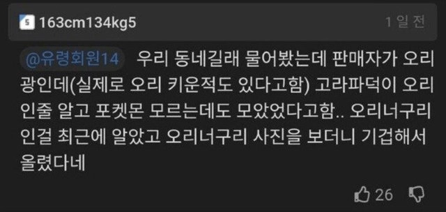고라파덕 90마리가 당근마켓에 올라온 이유