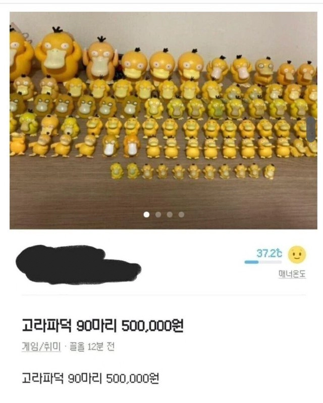 고라파덕 90마리가 당근마켓에 올라온 이유