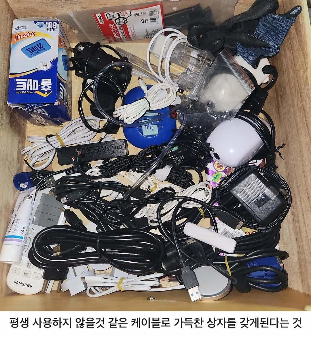 어른이 된다는 것